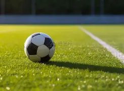 申花面临关,键抉择,特谢拉,凤凰彩票,凤凰彩票官网,凤凰彩票Phoenix,Lottery官网