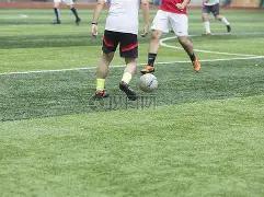 库明加与勇,士队爱恨纠,终章即将揭,凤凰彩票,凤凰彩票官网,凤凰彩票Phoenix,Lottery官网