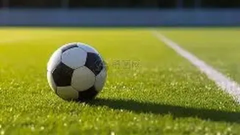 申花面临关键抉择：特谢拉、马纳法、路易斯合同到期，未来谁将续约加盟？